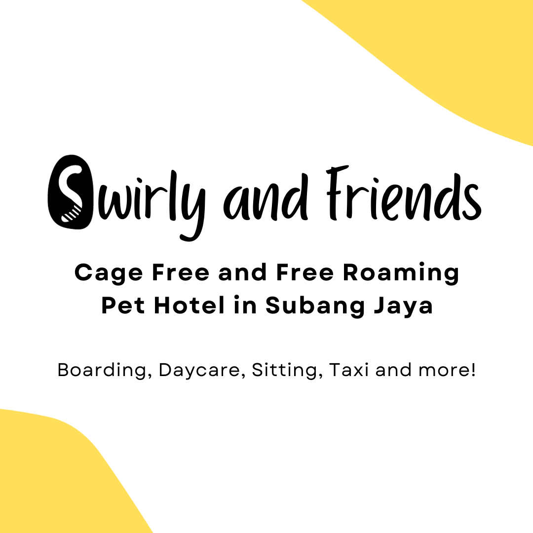 Pet Hotel & Pet Boarding in Subang Jaya Swirly and Friends